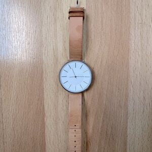 Skagen stainless steel watch w/leather band